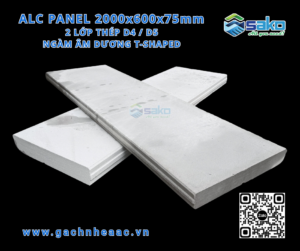 Tấm bê tông khí chưng áp 2 lớp thép